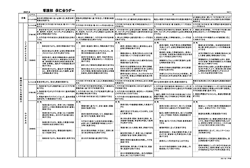 看護部保仁会ラダー